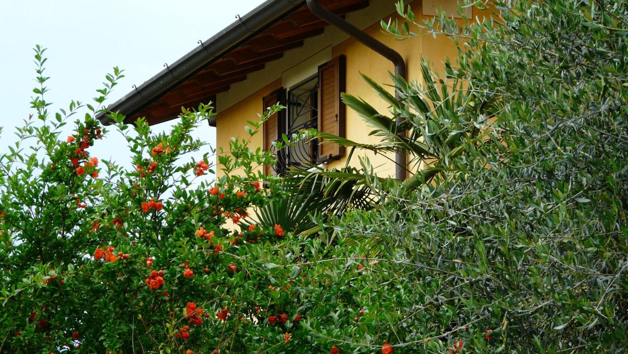 Albergo Le Piante Manerba del Garda Εξωτερικό φωτογραφία